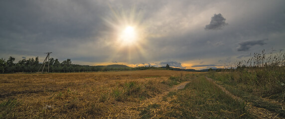 Low angle shot of a yellow dry field on cloudy sky background