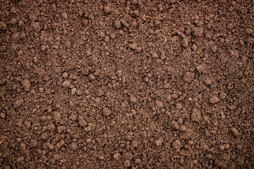 surface organic ground background, cultivated soil texture before planting