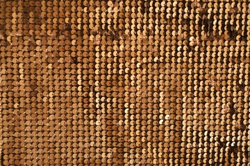  shiny sequins .Gold sequins shiny fabric.Scales background.Texture scales.Gold colored sequins...