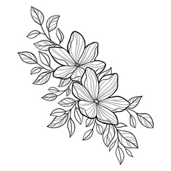 wild flowers. Hello summer card in vector. Fashion poster for your graphic design.