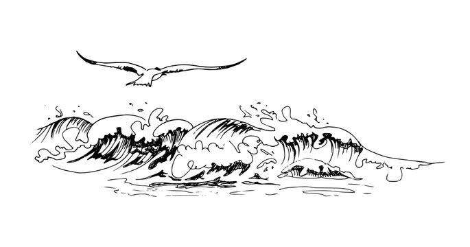 Seagull Flies Over the Sea Wave. Line Art Sketchy Design.