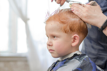 Child in a hairdressing salon. The hands of a hairdresser are cutting a 4-year-old boy. Red-haired boy has a haircut