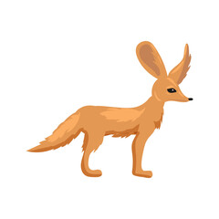 Fennec fox dessert cute animal mammal with big ears, pale color. Vector illustration