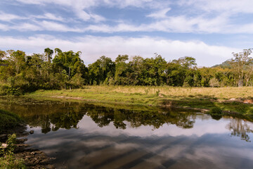 Natural landscape with lake, water mirror and blue sky in the farm field.