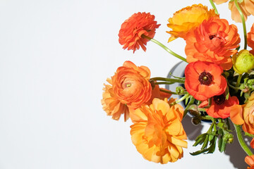 Macro shot of beautiful tender yellow-orange ranunculus bouquet over isolated background. Visible petal structure. Bright patterns of flower buds. Top view, close up, copy space, cropped image.