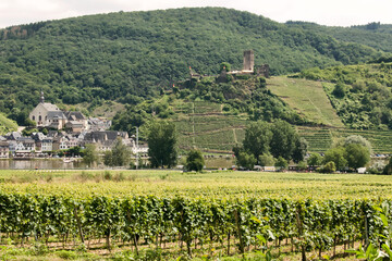 Fototapeta na wymiar Castle Metternich near Beilstein, Moselle, Germany