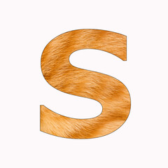 Alphabet Letter S - Cat Fur Background