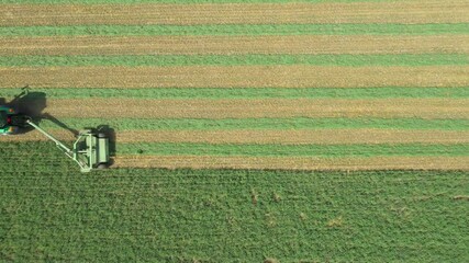 Above top view, dolly move, on tractor as pulling grass cutting machinery over field of clover, cutting alfalfa in straight lines.