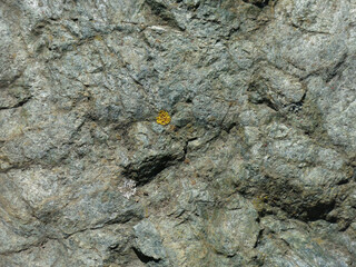 the texture of gray natural stone cobblestone