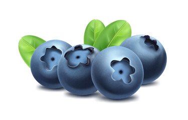 Blueberries with leaves, wild forest berries, ripe juicy fruit, healthy food. Vector icon.