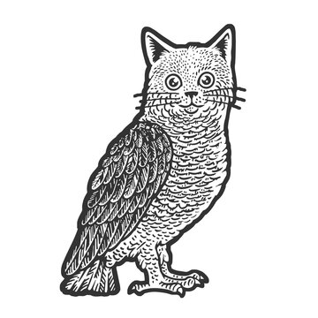 Owl with cat head line art sketch engraving vector illustration. T-shirt apparel print design. Scratch board imitation. Black and white hand drawn image.