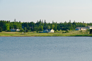 View of lake and forests