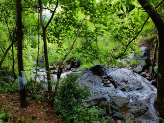 Beautiful Stream inside the forest