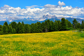 Fototapeta premium alpe di villandro It is the second largest mountain pasture in Europe and panorama dolomites south tyrol italy