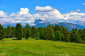 Fototapeta na wymiar alpe di villandro It is the second largest mountain pasture in Europe and panorama dolomites south tyrol italy