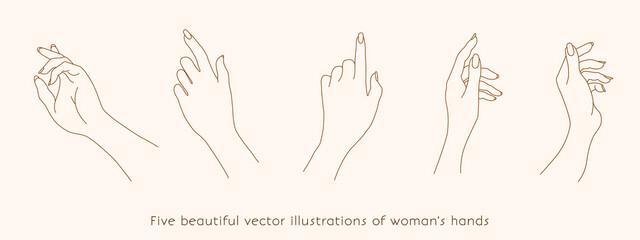 Female Hands Various Gestures Female Hands Icons Trendy Minimalistic Linear Style Isolated vector illustration. Branding.