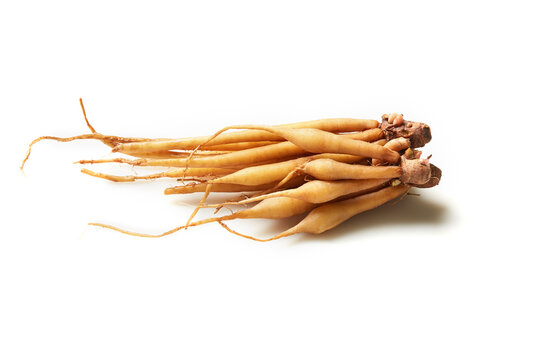 Kaempfer root isolated