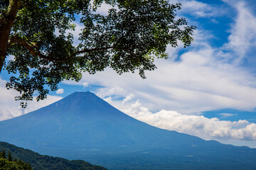 mountain and tree