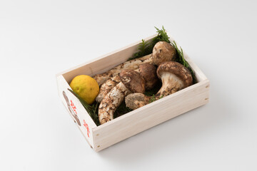 箱に入った松茸