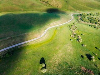 Green mountain meadows over the hills and a walking road into the mountains, trees in the foreground and sunshine spots. Belokurikha, Altai.