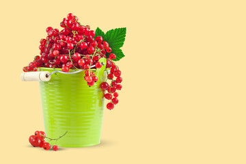 Red currant in a green cup on a yellow background. Horizontal. Background with copy space.