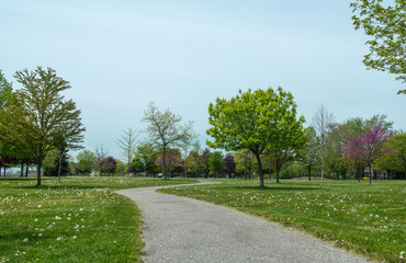 spring in the park