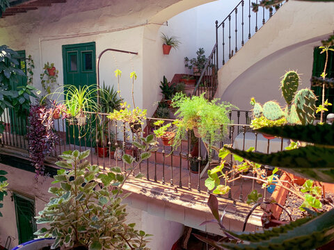 View of Old Style Spanish Apartments (Corral de Vecinos)