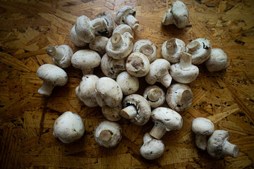 champignon mushrooms on the table.