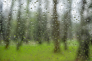 rain on the glass