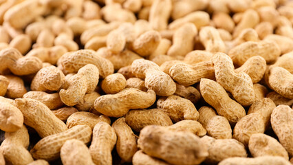 close up on peanut background