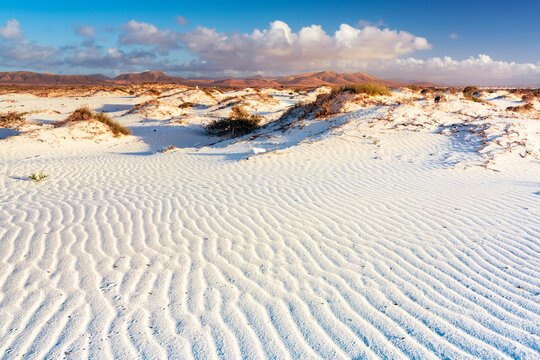 White sand of desert dunes shaped by wind, El Cotillo, La Oliva, Fuerteventura, Canary Islands, Spain