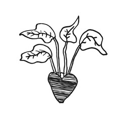 Vector hand drawn illustration of a flower for interior design