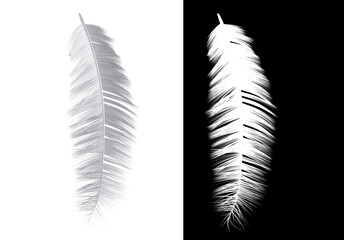 Feather and ink bottle - 3d render  with alpha channel