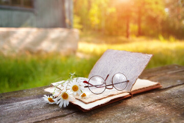 Chamomile flowers and a book are lying on a wooden table against the background of summer nature and morning light
