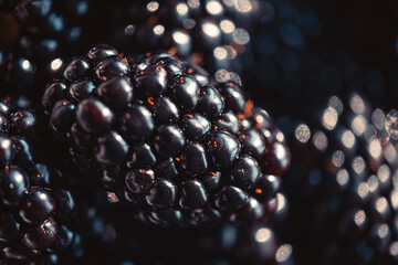 ripe organic blackberries close up