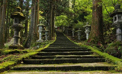 苔むす神社への参道