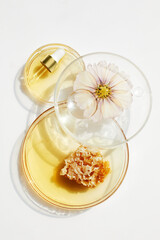 Abstract cosmetic laboratory. Chemical laboratory research. Nature cosmetics with honey.