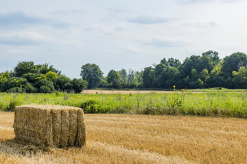 A large bale of straw in a harvested wheat field with a buffer strip of prairie and another wheat field in the distance. - obrazy, fototapety, plakaty