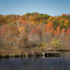 Autumn colors in full trees behind a fishing pier on a small country pond.