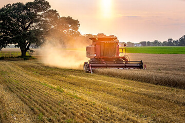 A combine harvesting wheat under a hazy, smoke-filled sky during sunset.