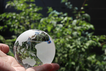 ガラスの地球儀と木々の緑　SDGs 環境保護のイメージ　glass globe and the green leaves