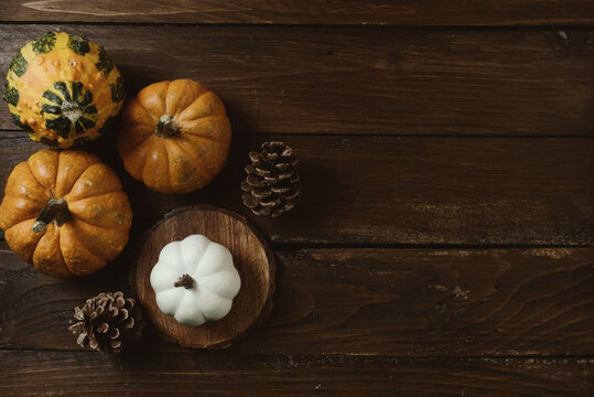 Wood texture backdrop with top view of pumpkins for fall or autumn holiday background.