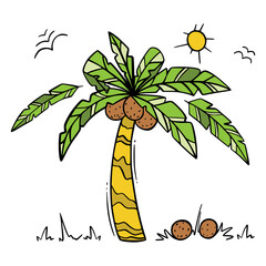 Palm summer set in color with hand drawn elements, coconut, sun, palm leaves on the white background for coloring book, poster, cards. Vector illustration