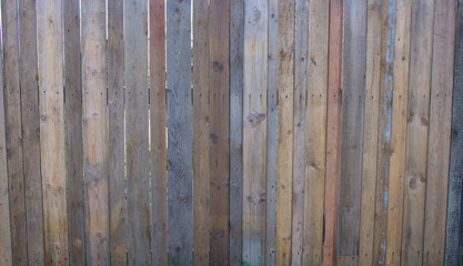 Vertical planks of a fence, close-up.. Real natural wood with a rough texture. Natural surface of old wooden boards