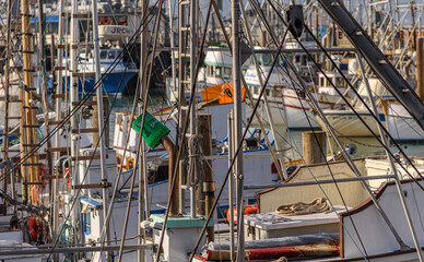 Fisherman's Wharf marina