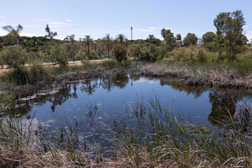 marshes and lagoon in Palos De La Frontera, Huelva, Spain. Nature concept.