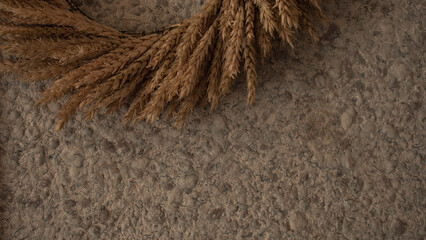 gray white texture on the wall