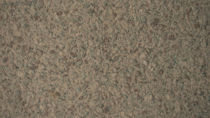 gray white texture on the wall