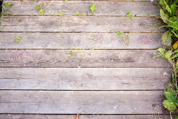Fototapeta premium Wooden pallet planks with grass and wild flowers, copy space background