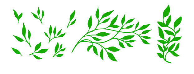 Obraz premium Tree branch with green leaves. Detailed vector plant, isolated on white background. A set of branches. Vector illustration